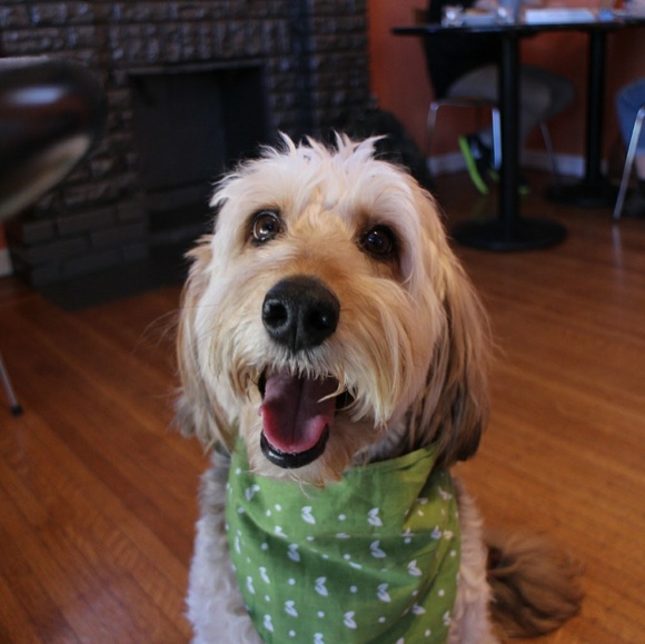 Meet your Posher, Stefani - Picture 1 of 1